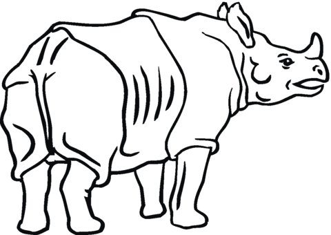 Indian Rhinoceros Coloring Page